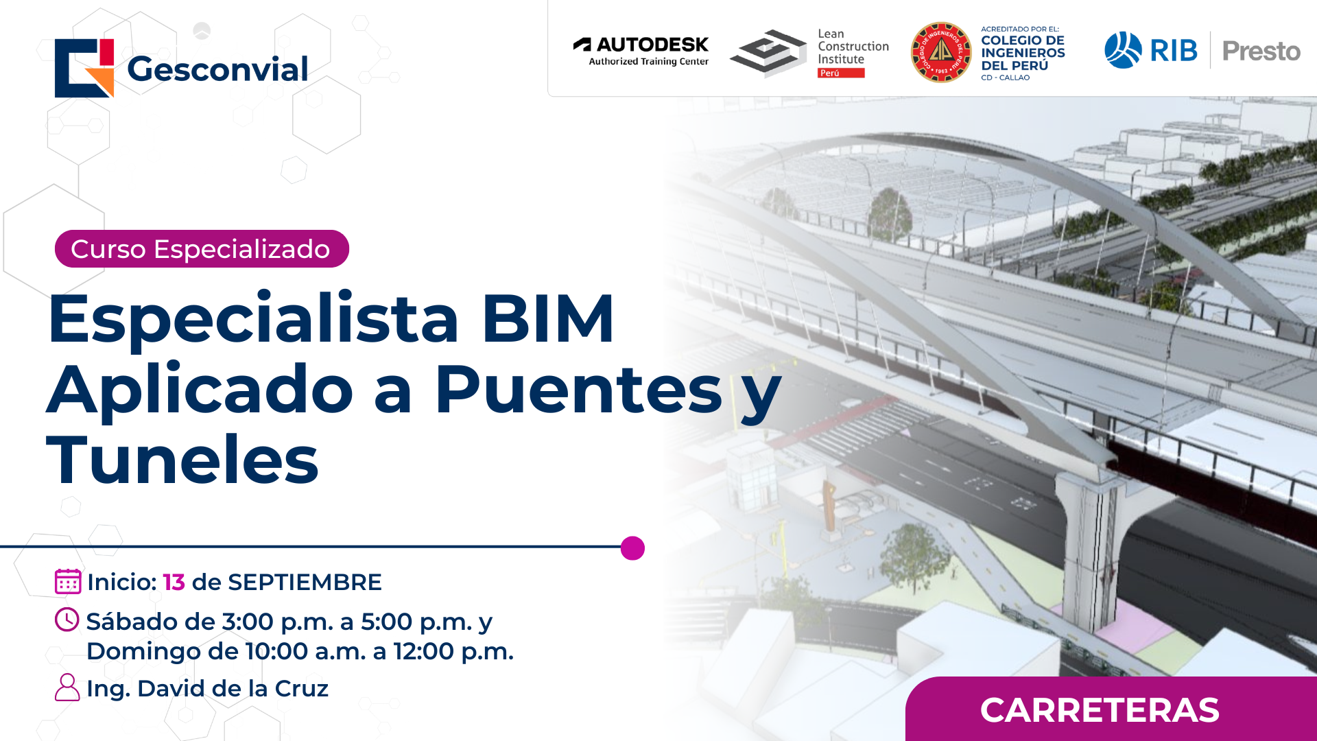 Especialista BIM Aplicado a Puentes y Tuneles